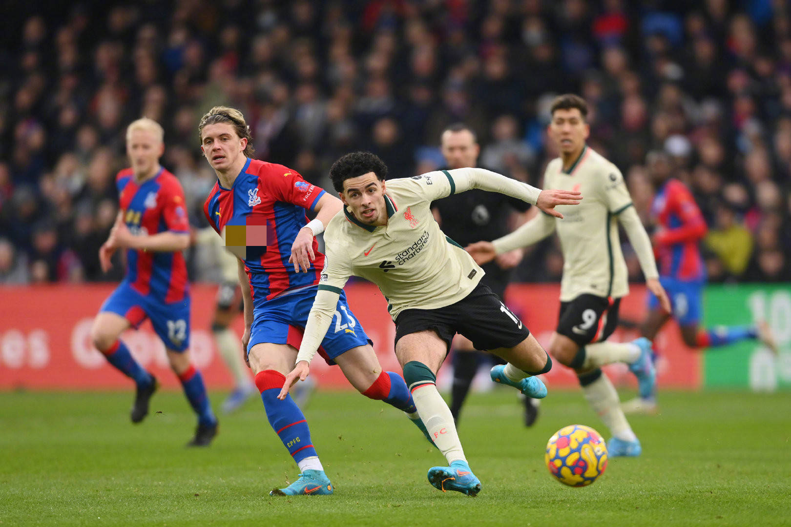 比賽獲勝的 比賽獲勝的